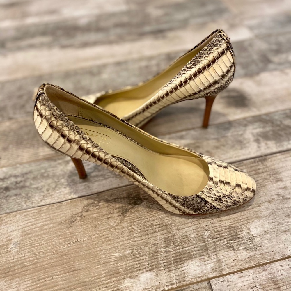 Coach Python Snakeskin Heels - Picture 2 of 4